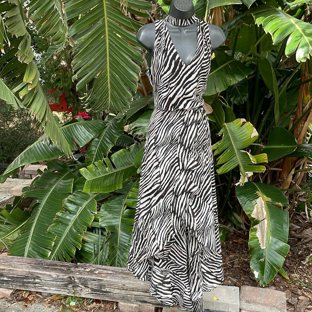 White House black market zebra print dress